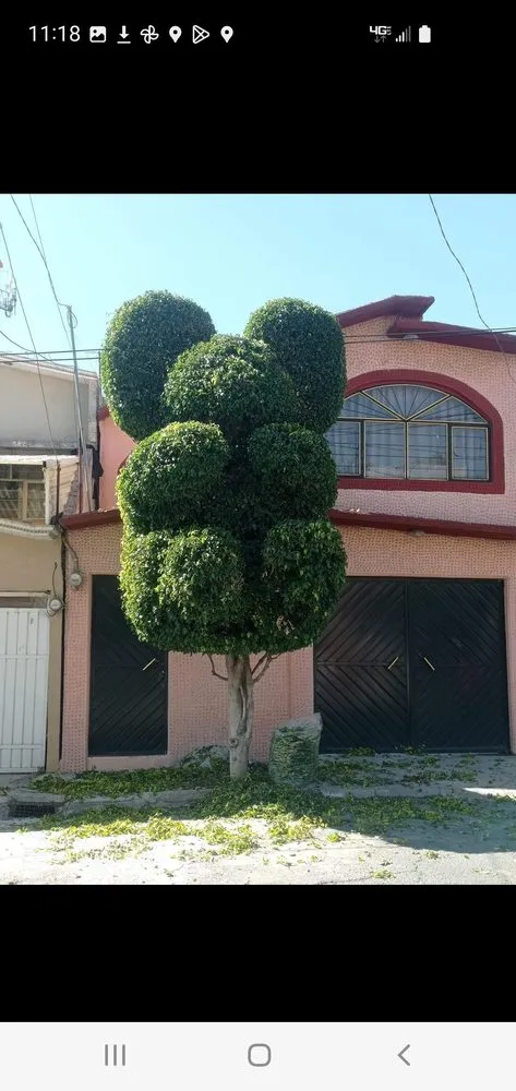 Custom lawn care service for outdoor upgrades in Stockton, CA by De Paz Landscaping