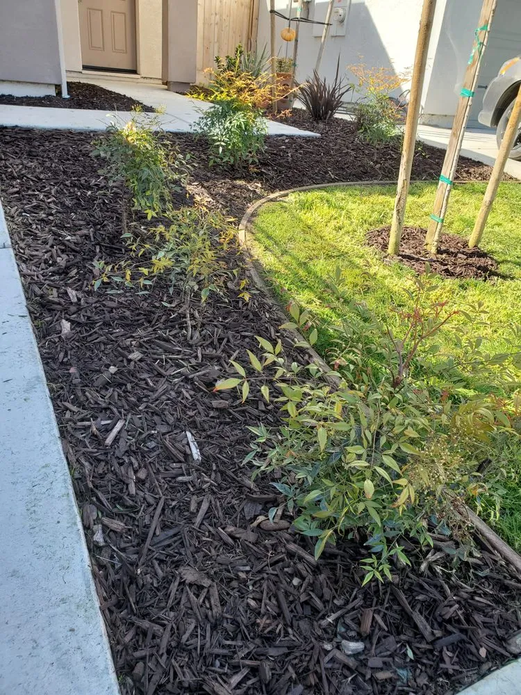 Professional yard cleanup service in Stockton, CA - De Paz Landscaping