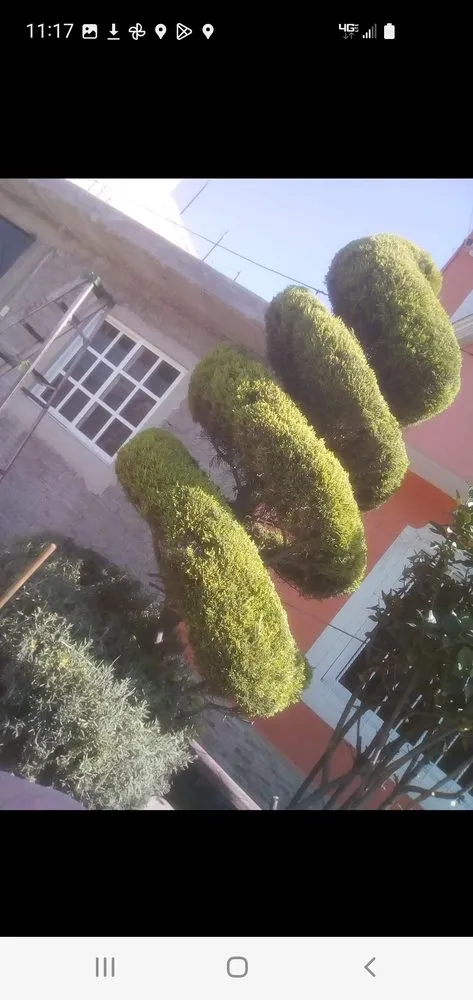 Local outdoor landscaping experts serving Stockton, CA - De Paz Landscaping