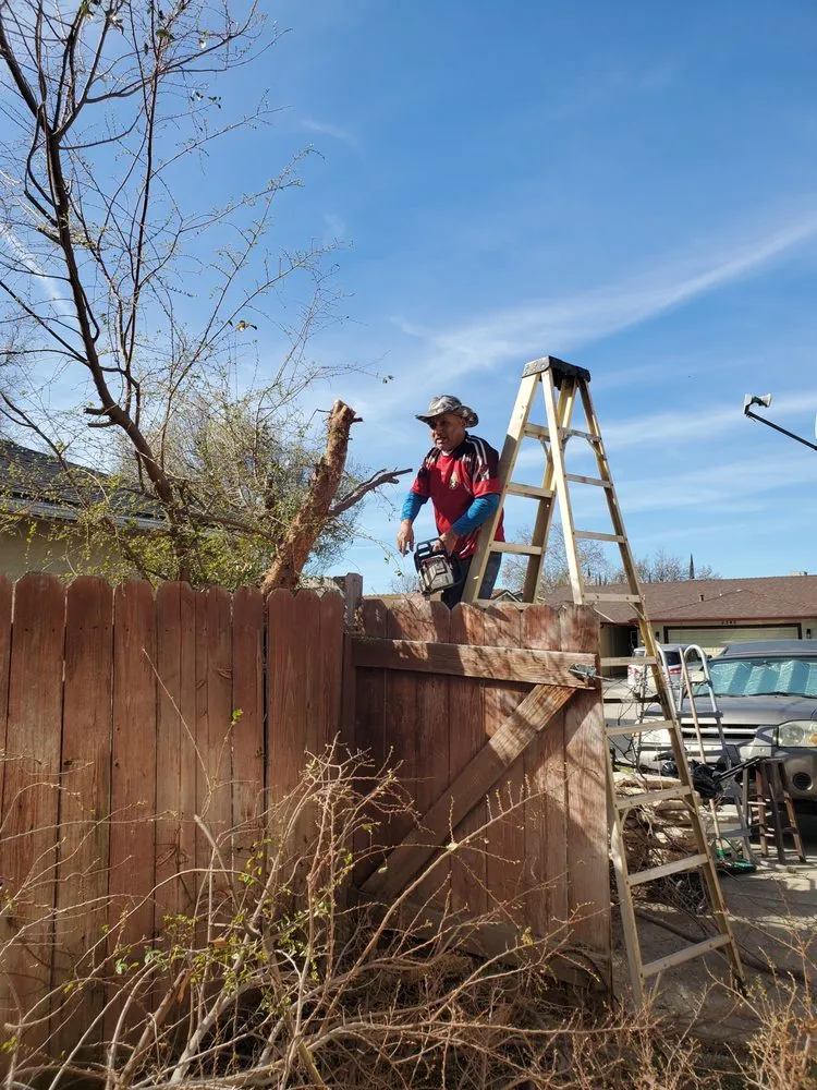 Professional lawn mowing service experts serving Stockton, CA - De Paz Landscaping