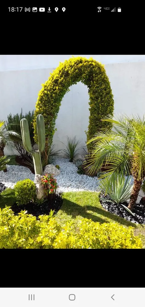 Custom yard maintenance for year-round maintenance in Stockton, CA by De Paz Landscaping