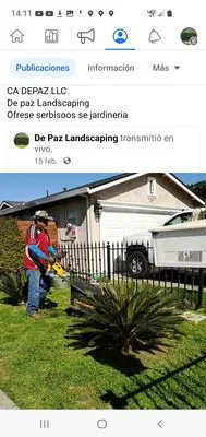 De Paz Landscaping Logo
