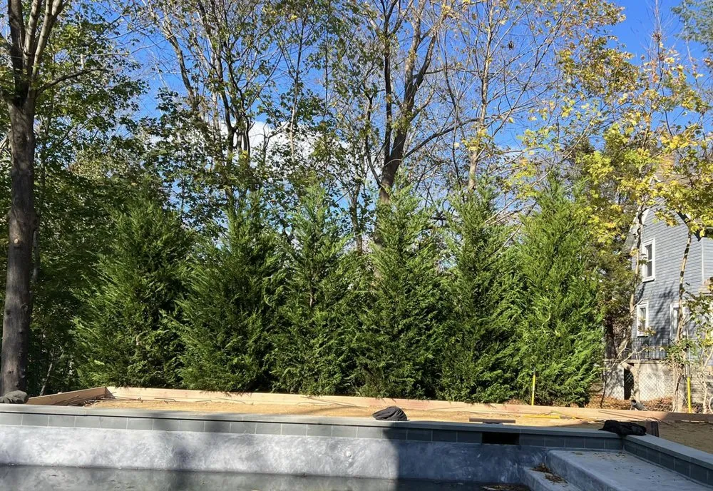 Professional landscaping services in Southampton, NY - De Rosas Landscaping