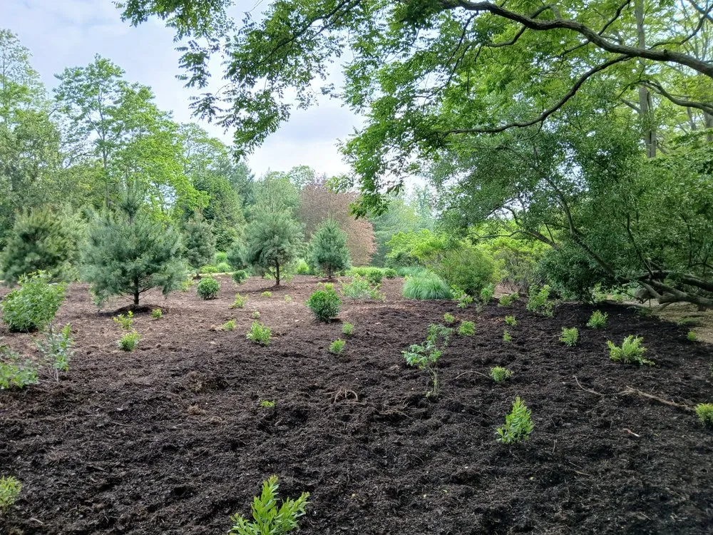 Custom yard maintenance for residential properties in Southampton, NY by De Rosas Landscaping