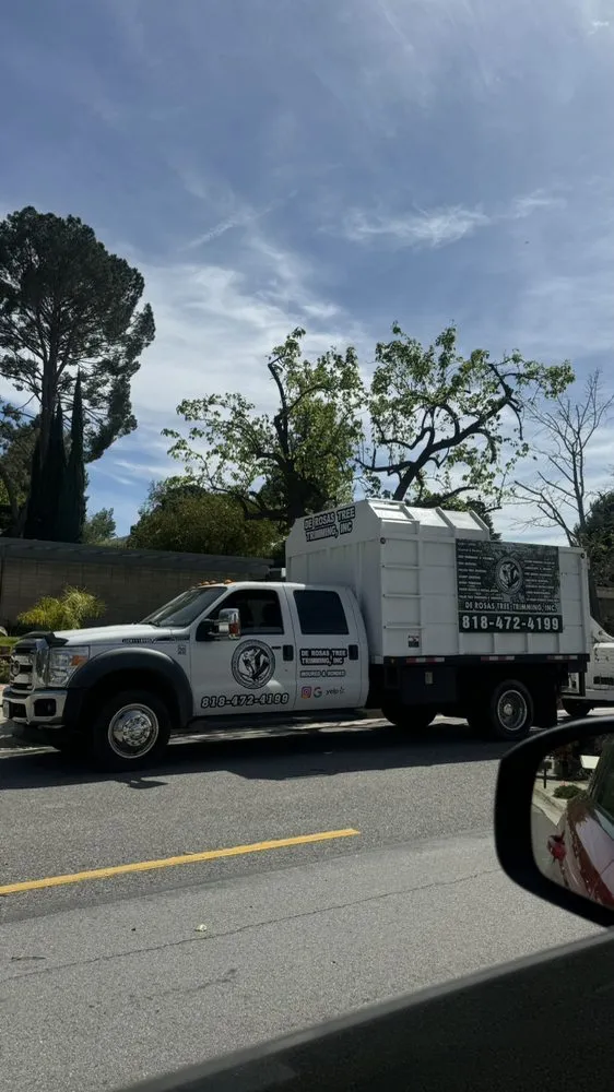 Professional garden landscaping for year-round maintenance across Pacoima, CA - De Rosas Tree Trimming & More
