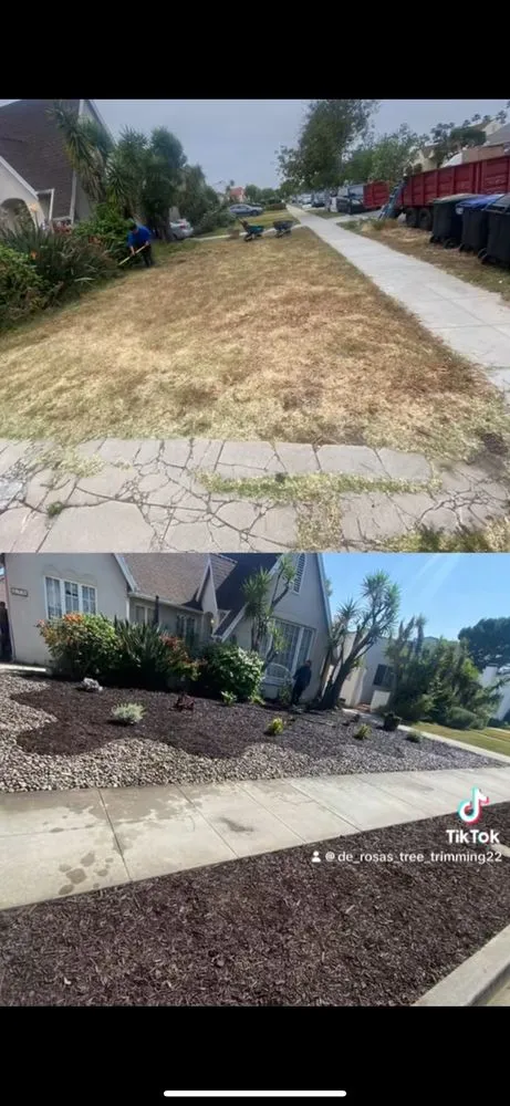 Trusted landscaping services in Pacoima, CA by De Rosas Tree Trimming & More