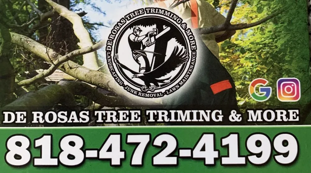 Expert outdoor landscaping with custom design in Pacoima, CA by De Rosas Tree Trimming & More