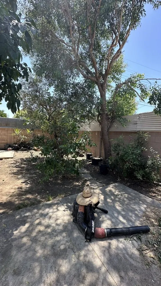 Reliable yard maintenance for beautiful yards in Pacoima, CA by De Rosas Tree Trimming & More