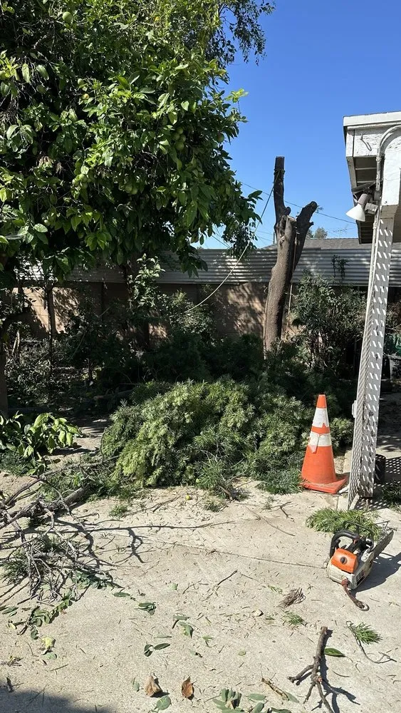 Affordable landscape installation for beautiful yards in Pacoima, CA by De Rosas Tree Trimming & More