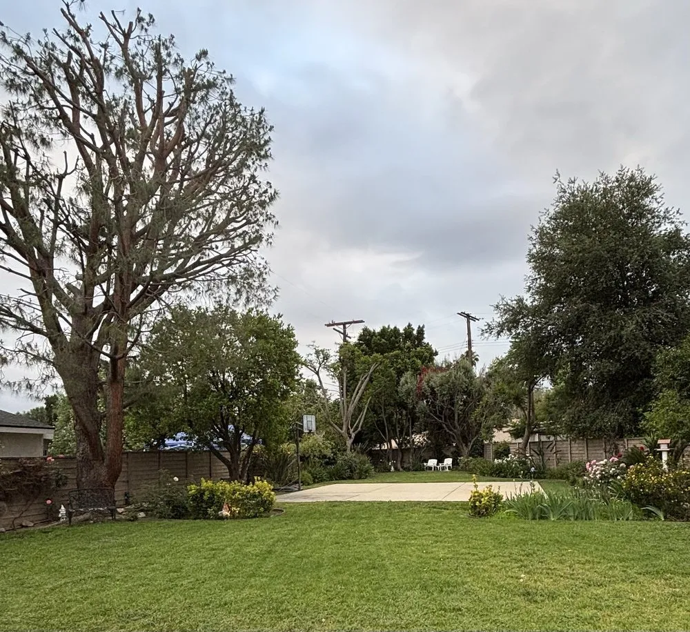 Expert lawn mowing service experts serving Pacoima, CA - De Rosas Tree Trimming & More
