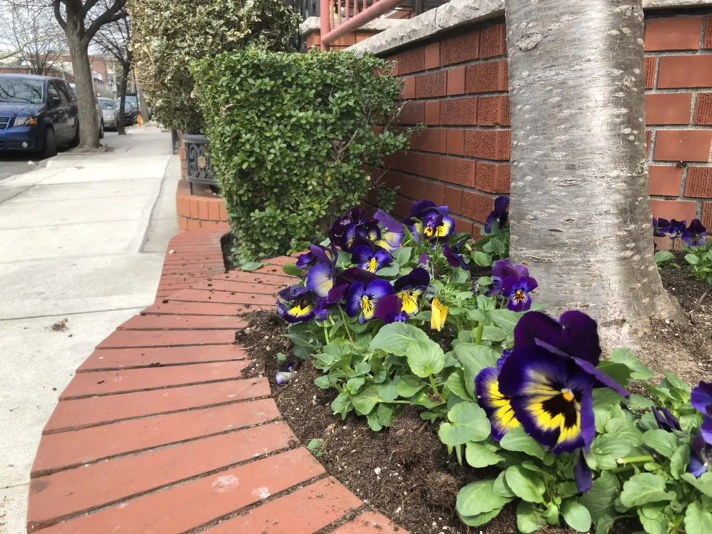 Expert yard cleanup service in Brooklyn, NY by De Santo Landscaping & Irrigation