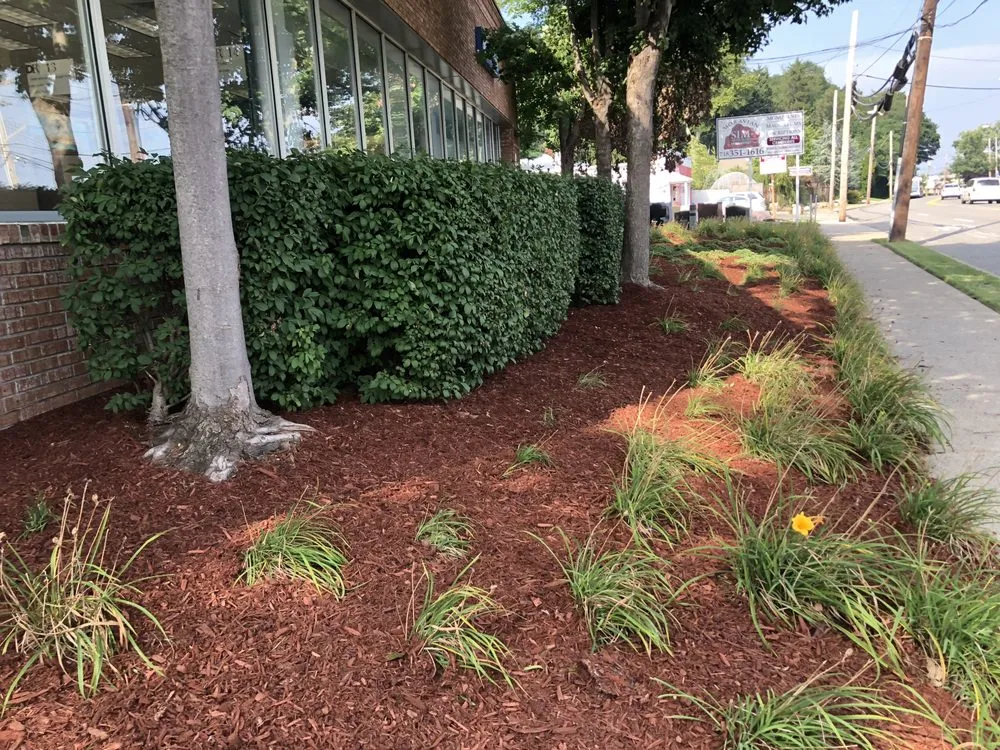 Professional landscaping services in Brooklyn, NY - De Santo Landscaping & Irrigation