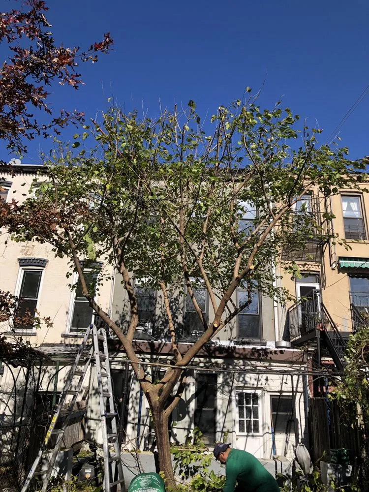 Expert outdoor landscaping in Brooklyn, NY - De Santo Landscaping & Irrigation