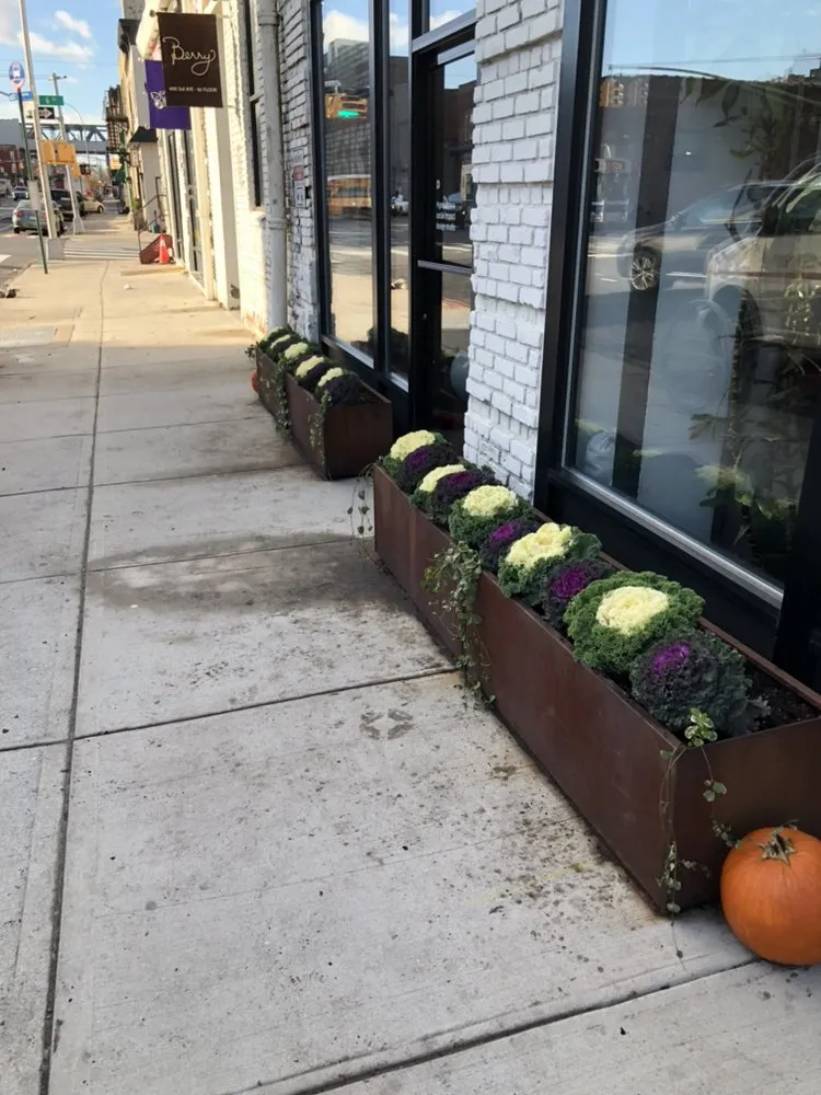 Local landscaping services in Brooklyn, NY by De Santo Landscaping & Irrigation