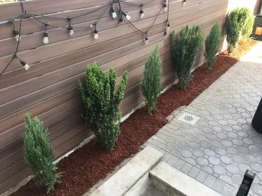 De Santo Landscaping and Gardening