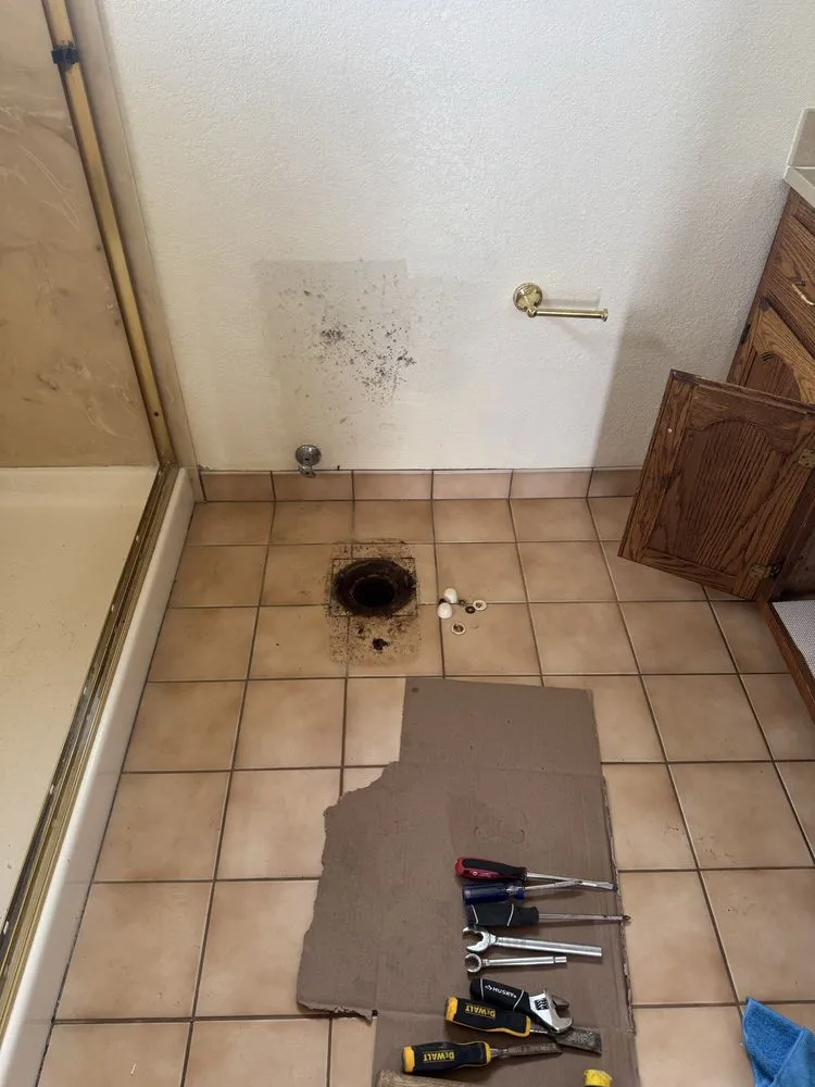 Affordable outdoor landscaping experts serving Baytown, TX - De Silva And Sons Handyman LLC