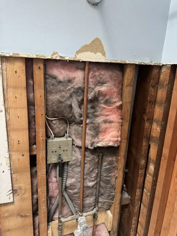 Reliable landscape design in Baytown, TX by De Silva And Sons Handyman LLC