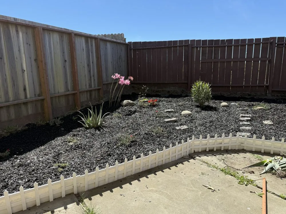 Top-rated landscape installation in Baytown, TX by De Silva And Sons Handyman LLC