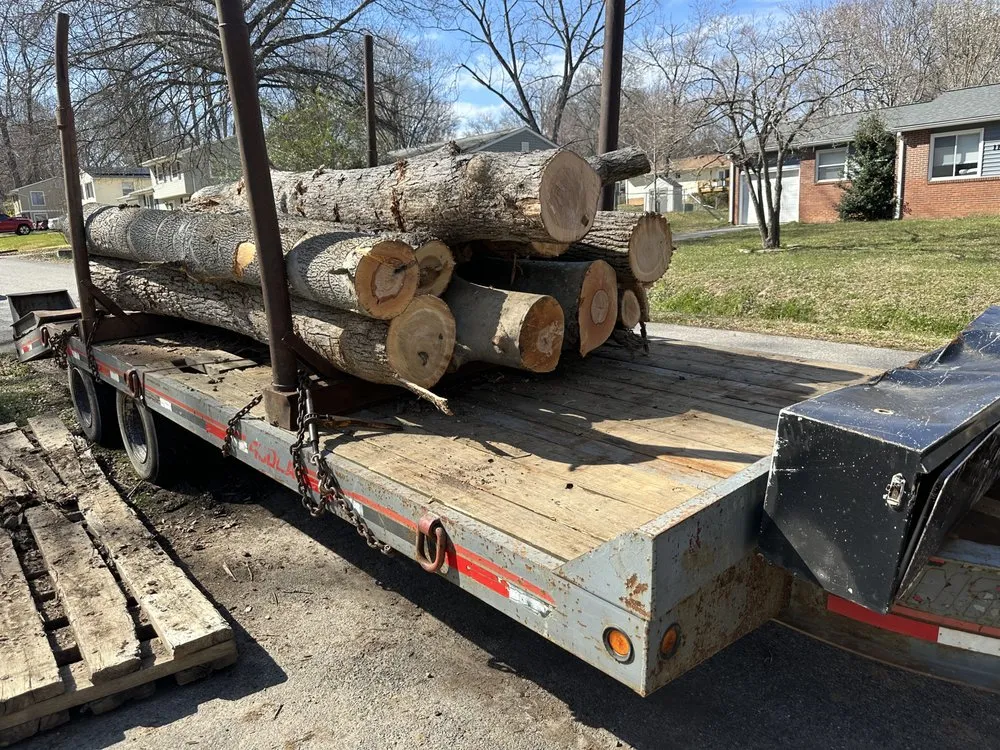 Expert lawn mowing service near you across Spotsylvania Courthouse, VA - D&E Tree Service & Landscaping