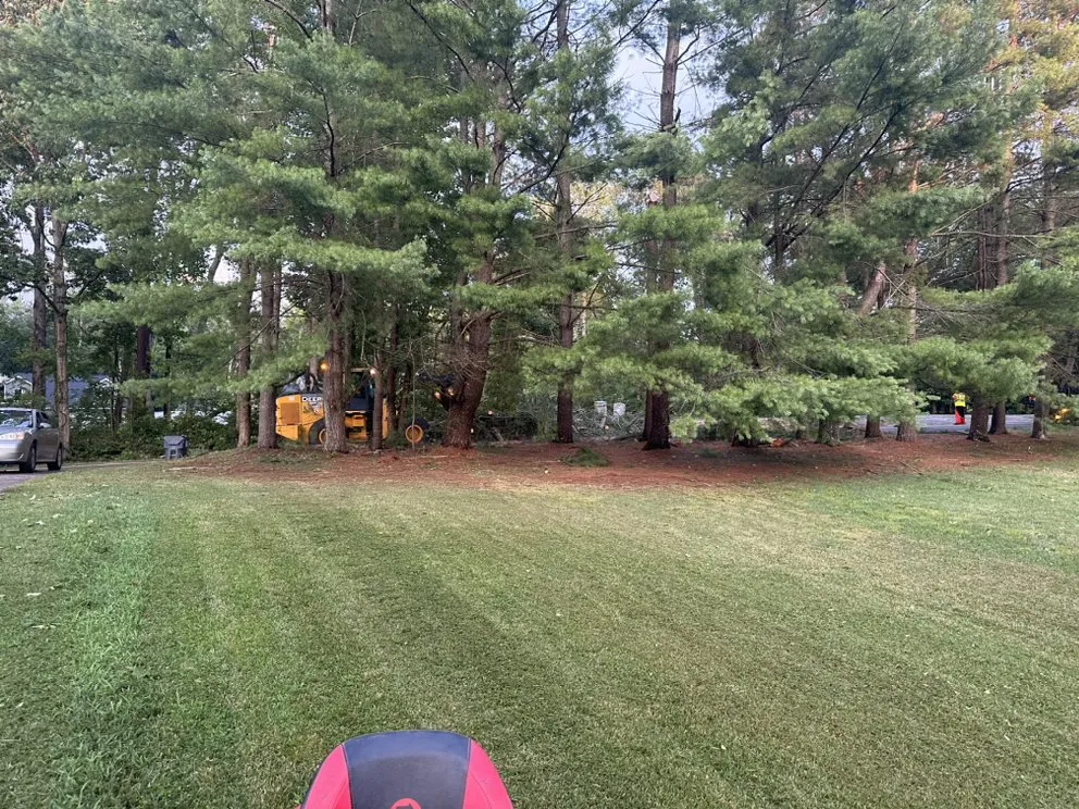 Custom landscape design experts serving Spotsylvania Courthouse, VA - D&E Tree Service & Landscaping