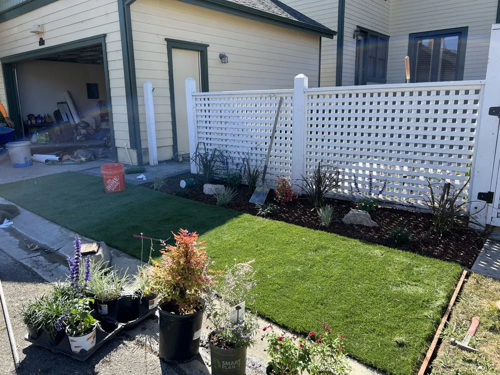 Reliable landscape design in Albany, CA by DEA 99 Landscape