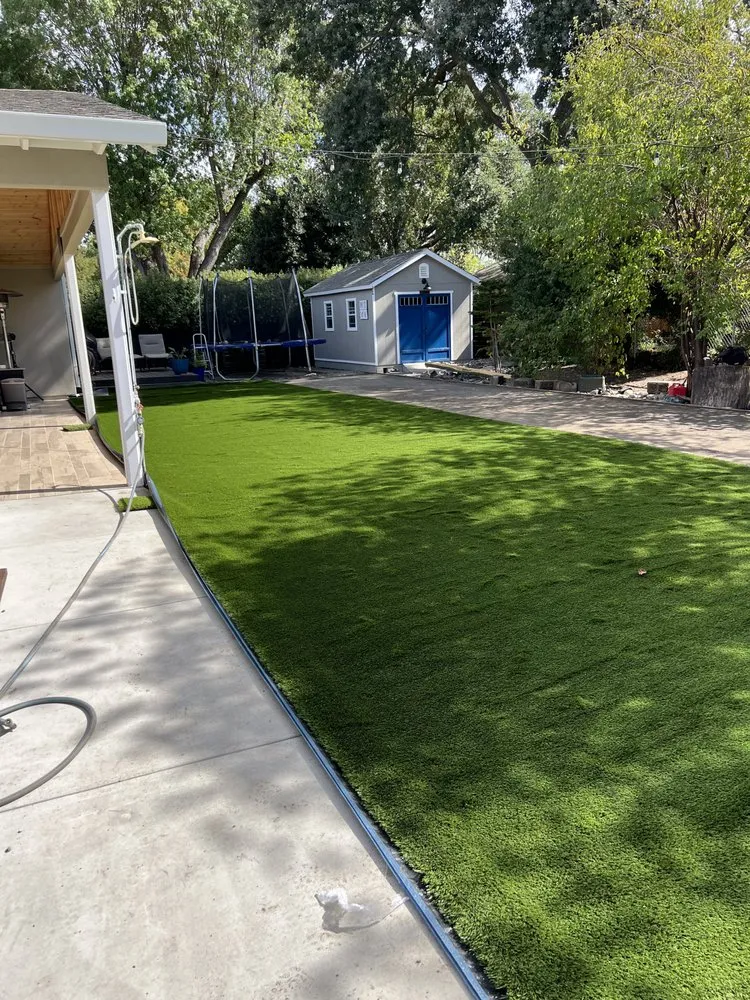 Expert yard maintenance in Albany, CA by DEA 99 Landscape