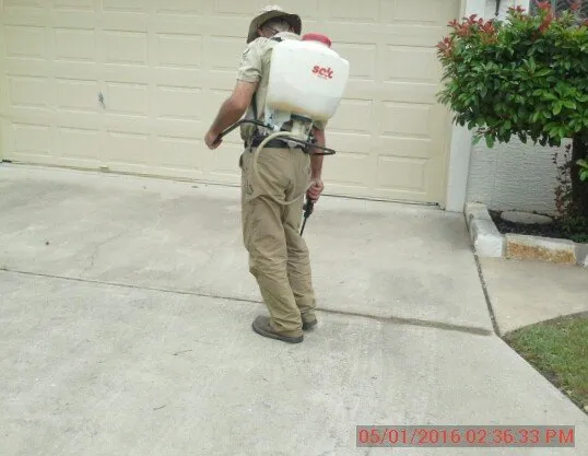 Reliable lawn mowing service in Killeen, TX by Deabenderfer Property Services