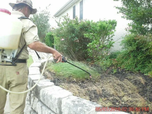 Local lawn mowing service in Killeen, TX by Deabenderfer Property Services