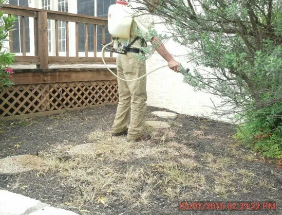 Affordable yard maintenance for year-round maintenance across Killeen, TX - Deabenderfer Property Services