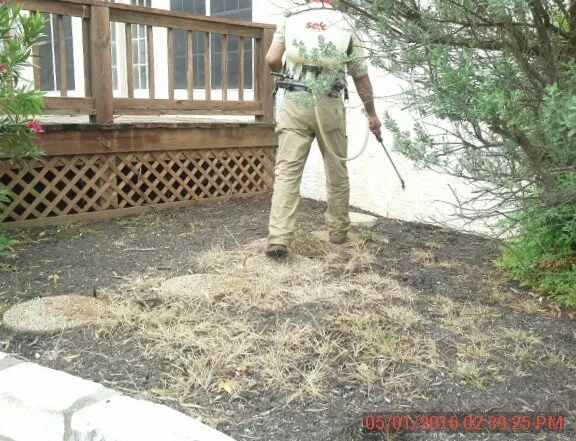 Affordable lawn care service experts serving Killeen, TX - Deabenderfer Property Services