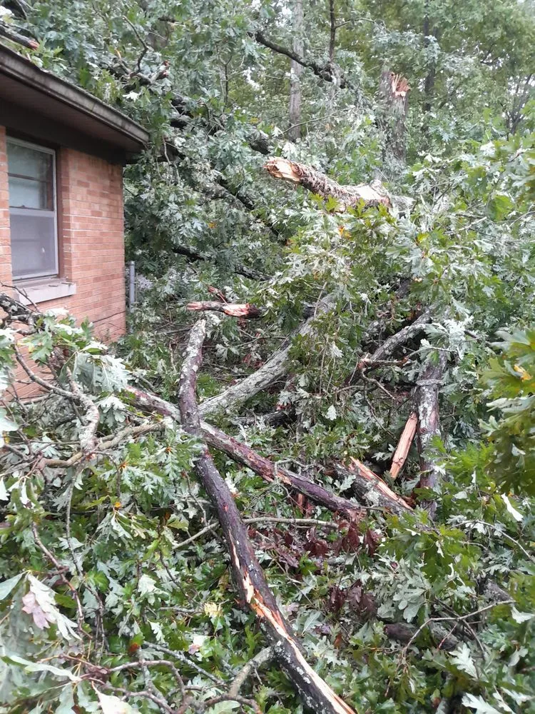 Top-rated lawn care service experts serving Mooresville, IN - Dead Ash Services