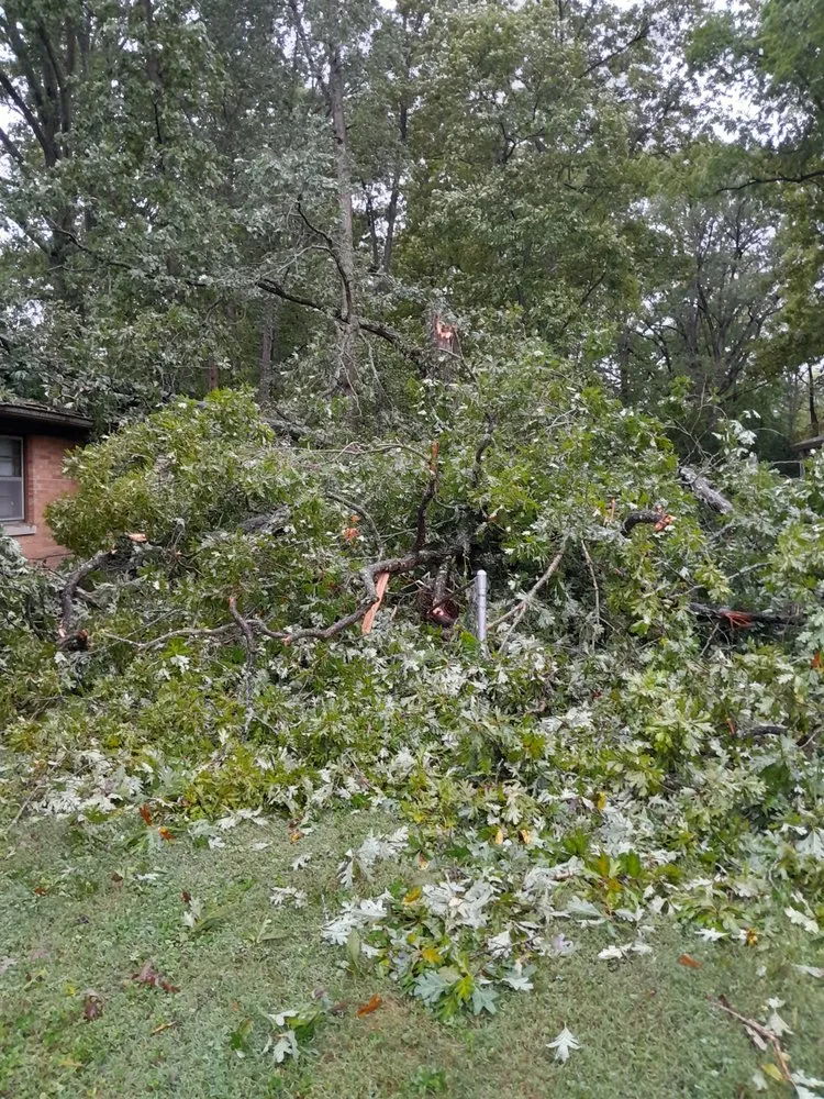 Trusted lawn mowing service in Mooresville, IN by Dead Ash Services