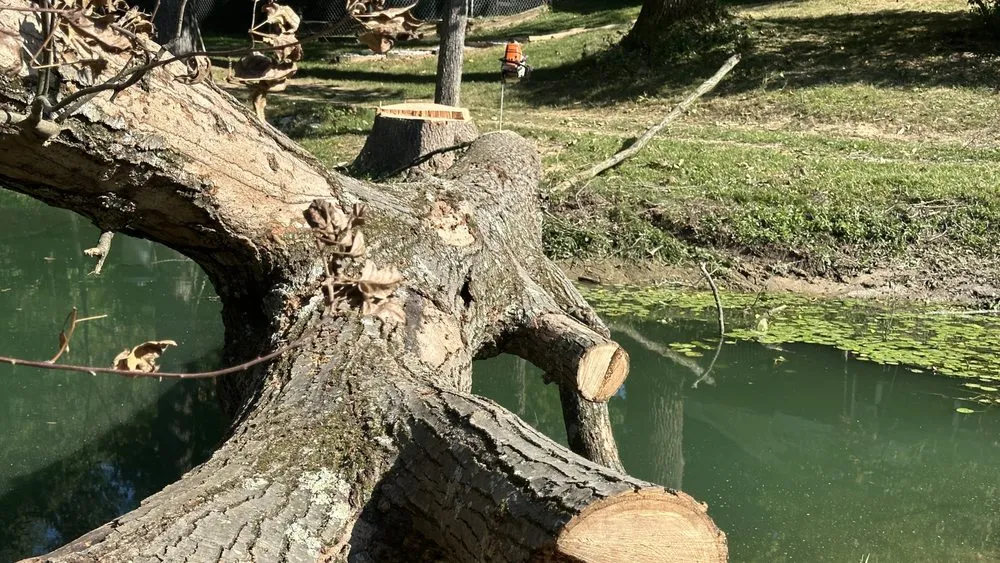 Trusted outdoor landscaping in Mooresville, IN - Dead Ash Services