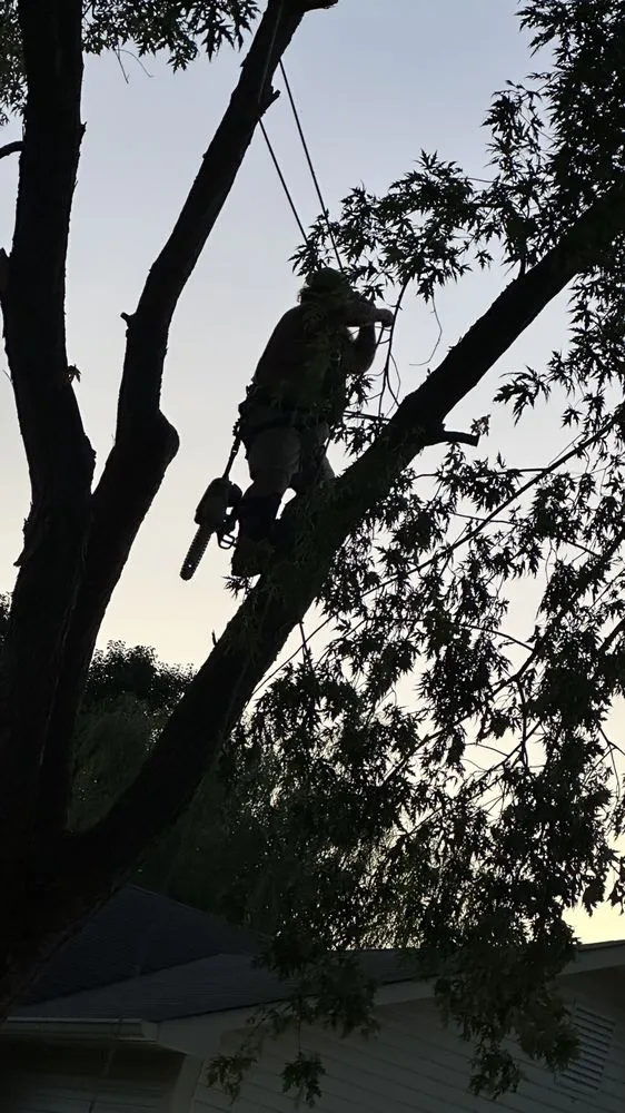 Expert lawn care service for outdoor upgrades across Mooresville, IN - Dead Ash Services