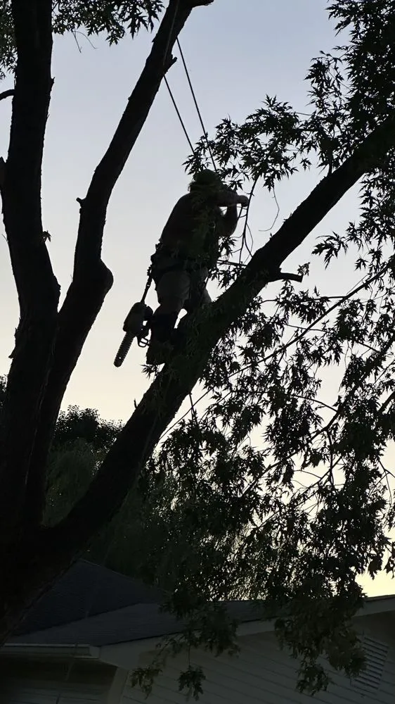 Expert lawn care service for beautiful yards across Mooresville, IN - Dead Ash Services