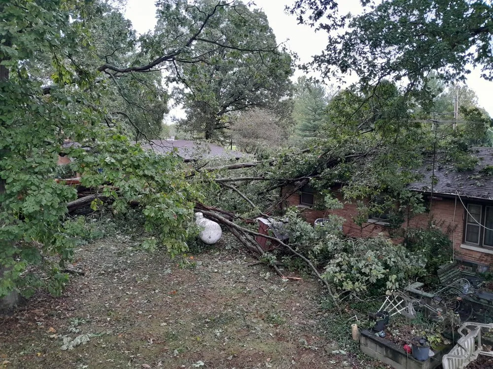 Affordable landscaping services in Mooresville, IN - Dead Ash Services