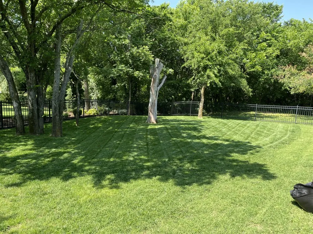 Top-rated yard maintenance in Oklahoma City, OK - Deadwood