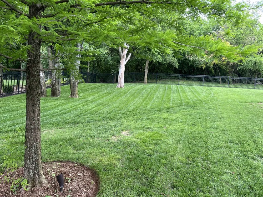 Reliable garden landscaping experts serving Oklahoma City, OK - Deadwood