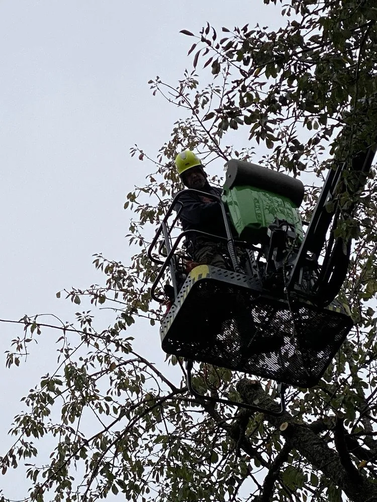 Affordable yard maintenance in Vancouver, WA by Deaf Man Tree Company