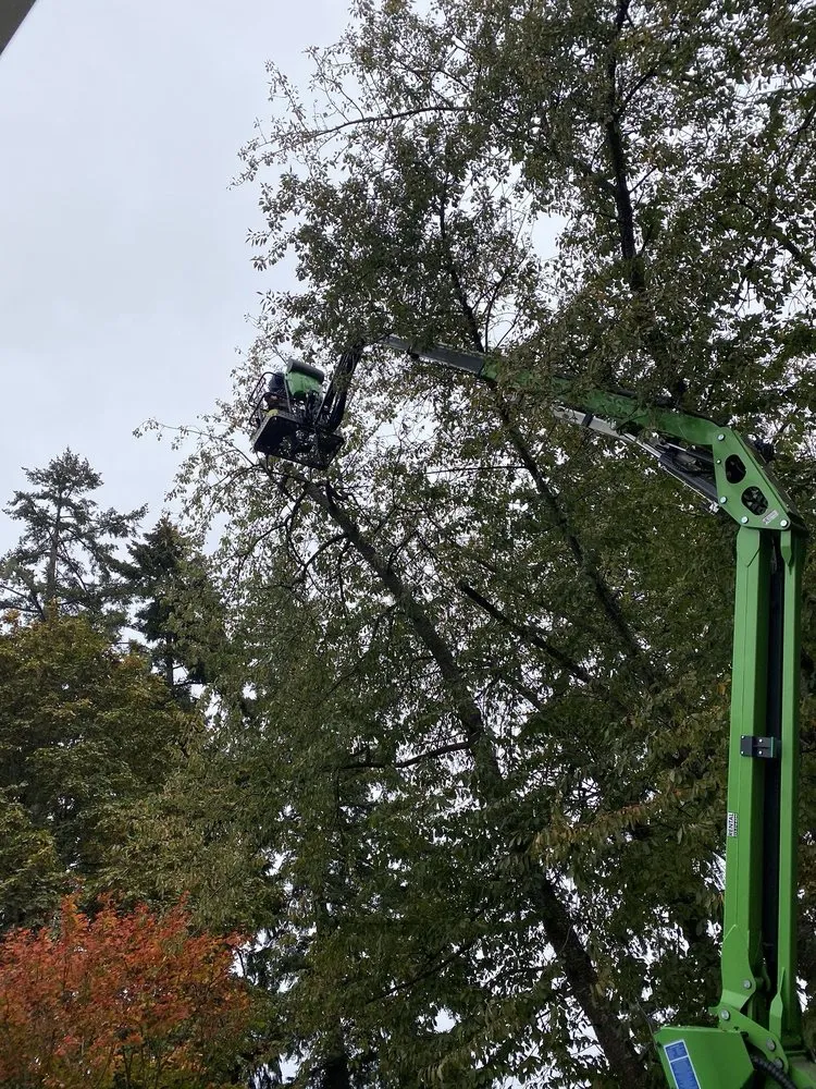 Reliable lawn mowing service experts serving Vancouver, WA - Deaf Man Tree Company