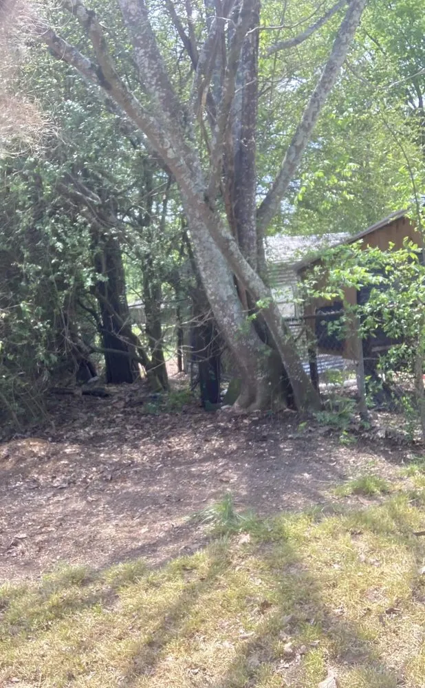 Expert yard maintenance in Atlanta, GA - Deaf With A Purpose