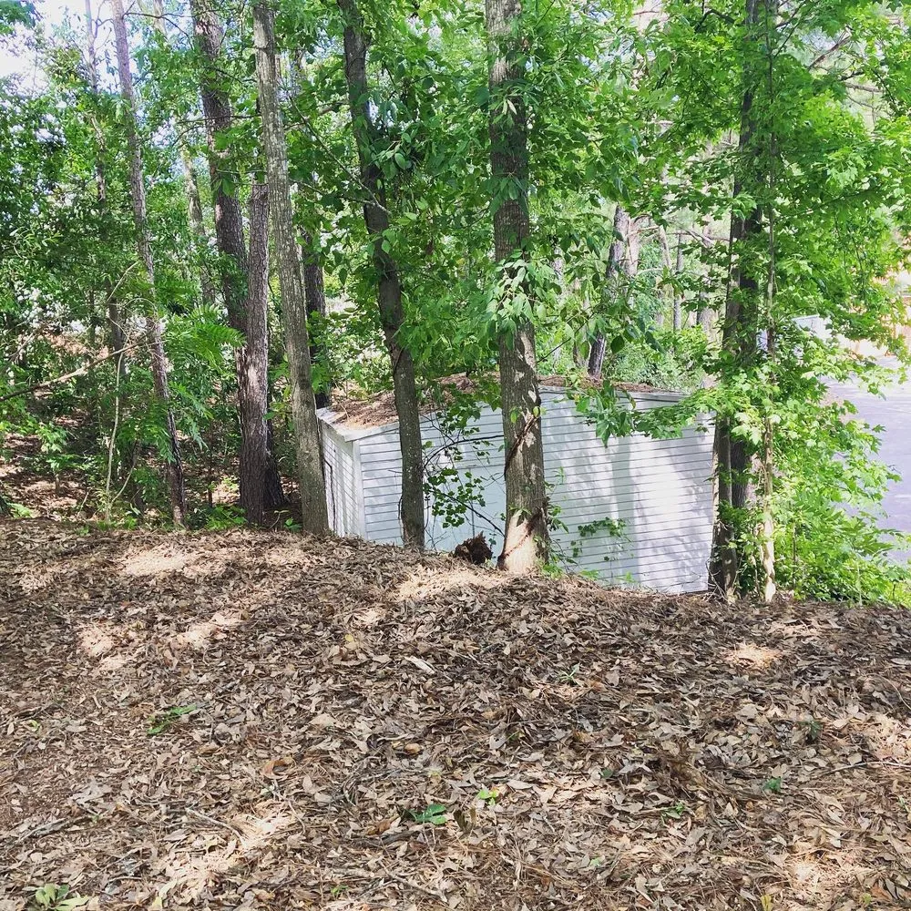 Local yard maintenance experts serving Atlanta, GA - Deaf With A Purpose