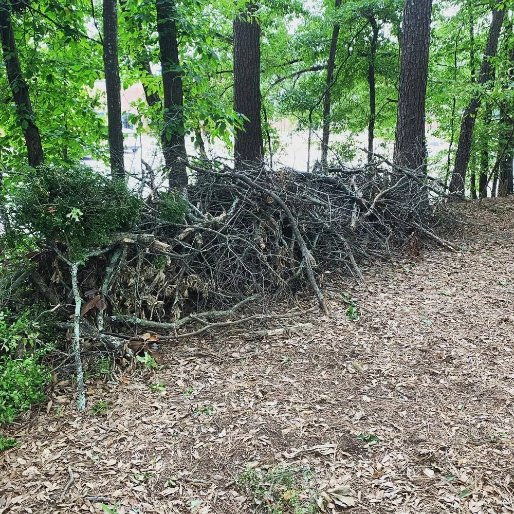 Local outdoor landscaping experts serving Atlanta, GA - Deaf With A Purpose