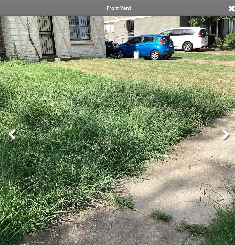 Affordable yard maintenance with custom design across Byhalia, MS - Deal Lawn Service & Bush-Hogging