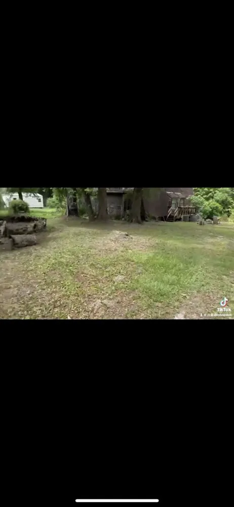 Trusted landscaping services in Green Cove Springs, FL - Dealz And Stealz Lawncare