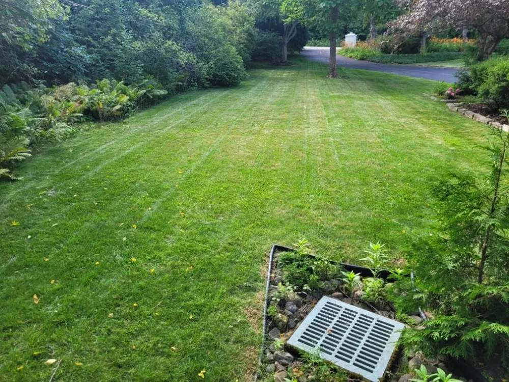 Professional landscaping services for residential properties across Milwaukee, WI - Deam Green