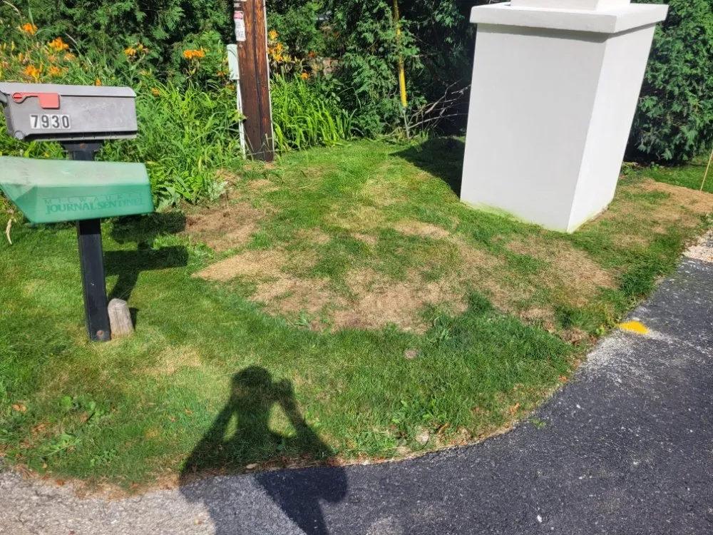 Local garden landscaping near you in Milwaukee, WI by Deam Green