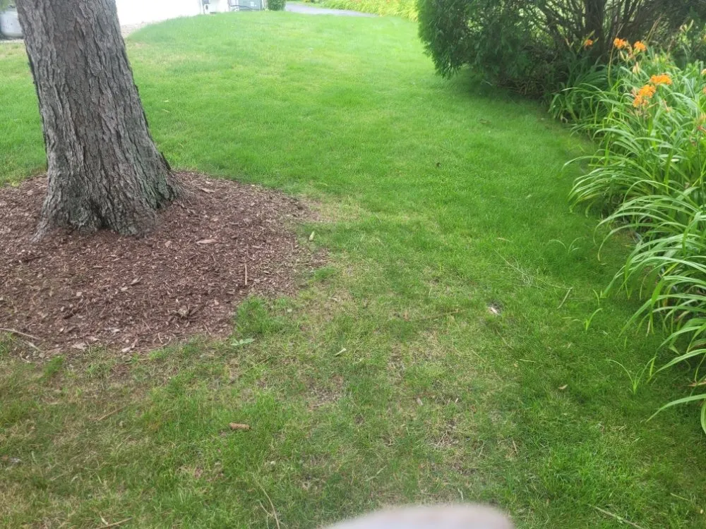 Custom outdoor landscaping experts serving Milwaukee, WI - Deam Green