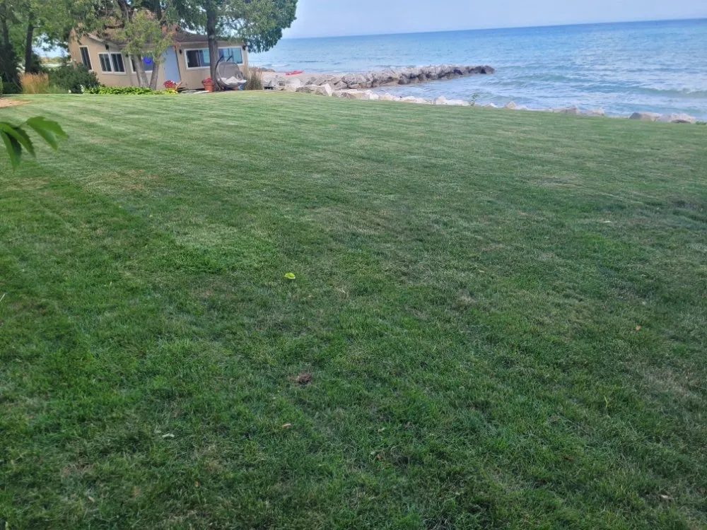 Affordable yard maintenance for year-round maintenance in Milwaukee, WI by Deam Green