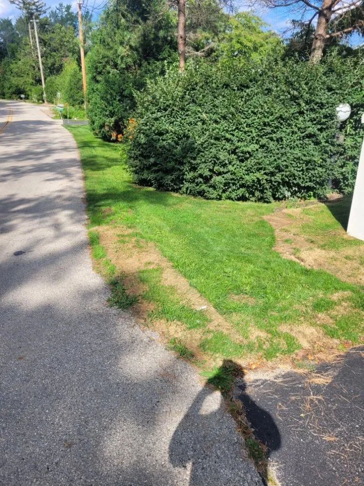 Professional yard maintenance experts serving Milwaukee, WI - Deam Green